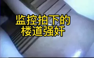 监控拍下的楼道强奸 玩家亲测好评资源