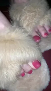 猫咪av站题材必看：#quqhc1骚逼美甲玉足 封面图