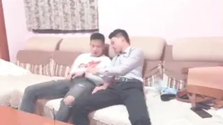 猫咪av站高分作品推荐：直接在沙发互摸互舔