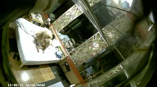 360白床网状主题_贴心眼镜哥一夜两次，让金发女友特别爽 优质原创视频在线直达