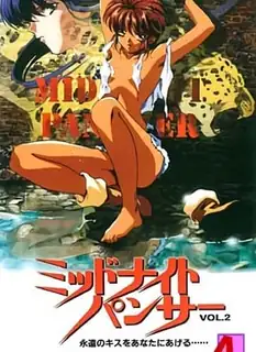 查看 午夜黑豹。後编 的详细介绍与播放