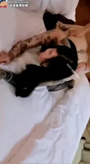 3P纹身少女 手机浏览器流畅观看预览