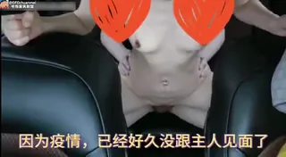 猫咪av站精选视频：车震内射小骚货1 完整版