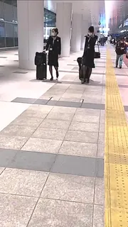 抄底乘务员 玩家亲测好评资源