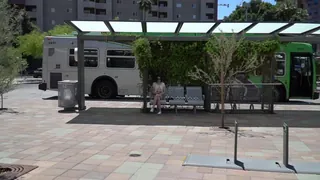 Bralessforever  /  网路疯传购物露南半球原来是这位 - 极具视觉冲击力的猫咪av站内容