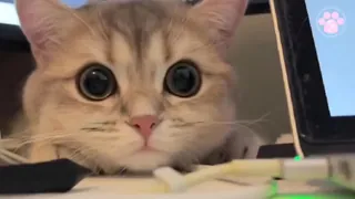 我一个猛男都喜欢看这个，正常不 - 1080P超清画质展示图