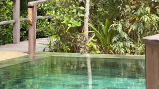 城市意外的郊区休闲，裸体放松亲近大自然 - 实时更新的高清猫咪av站资源