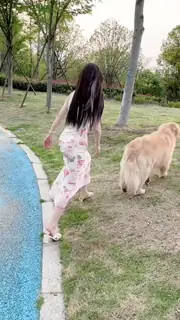 经我调教的宠物狗 - 极具视觉冲击力的猫咪av站内容