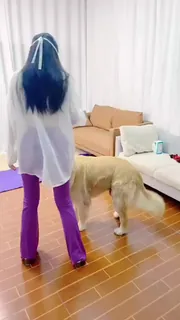 现代年轻人很享受养狗 优质原创视频在线直达