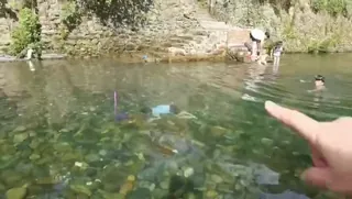 你孩子溺水了，还在拍 最新更新资源合集