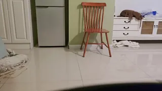 SP_教官一个一个教训 - 高清在线观看