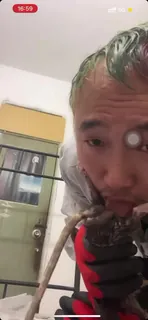 查看 #老鼠 #直播 #傻逼 #恶心 #重口味 #搞笑 傻逼直播给老鼠口交，恶心，笑死我了1 的详细介绍与播放