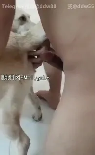 【猫咪av站】人兽交干了我家宠物 现场高清截图