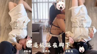 查看 骚逼被踩在脚下 的详细介绍与播放