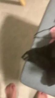 【猫咪av站】爽到假发都掉了，尽情享受吧 现场高清截图