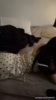 正在播放：jkSeex   cosplay 蒙眼口交情趣护士装 (猫咪av站频道)