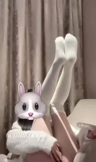 白白的兔子有白白的双腿 优质原创视频在线直达