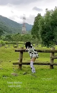 91视频官方收录：骚货母牛装