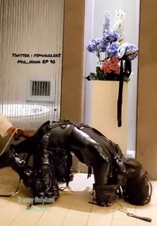 捆绑调教玩弄小伪娘 完整无删减版在线看