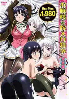 大小姐新娘纠纷。下卷 完整无删减版在线看
