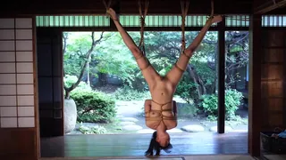 91视频推荐：倒立捆绑玩弄骚逼少妇 手机在线播放