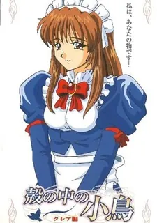 壳中鸟。一卷 完整无删减版在线看