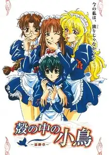 壳中鸟。五卷 - 实时更新的高清猫咪av站资源