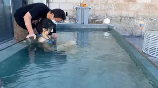 正在播放：在泳池里捆绑调教小骚货 (猫咪av站频道)