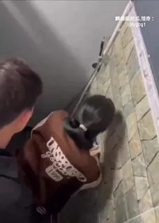 【猫咪av站】厕所后入高中骚货女友 现场高清截图