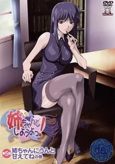 姐姐，我们就好好做吧。。Vol.5 玩家亲测好评资源