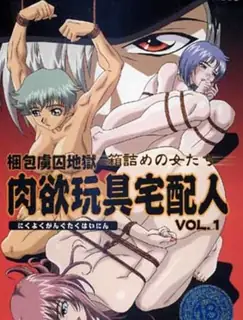 猫咪av站题材必看：肉欲玩具配送员。第一章 封面图