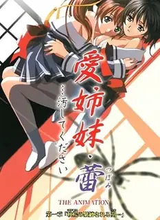 正在播放：亲爱的姐妹·蕾…请玷污我。第一卷 (猫咪av站频道)