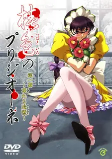 椿色的监狱。一卷 - 1080P超清画质展示图