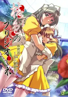 椿色的监狱。二卷 - 高清流媒体极速加载