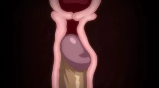 猫咪av站精选视频：阴阳虫悦2 完整版